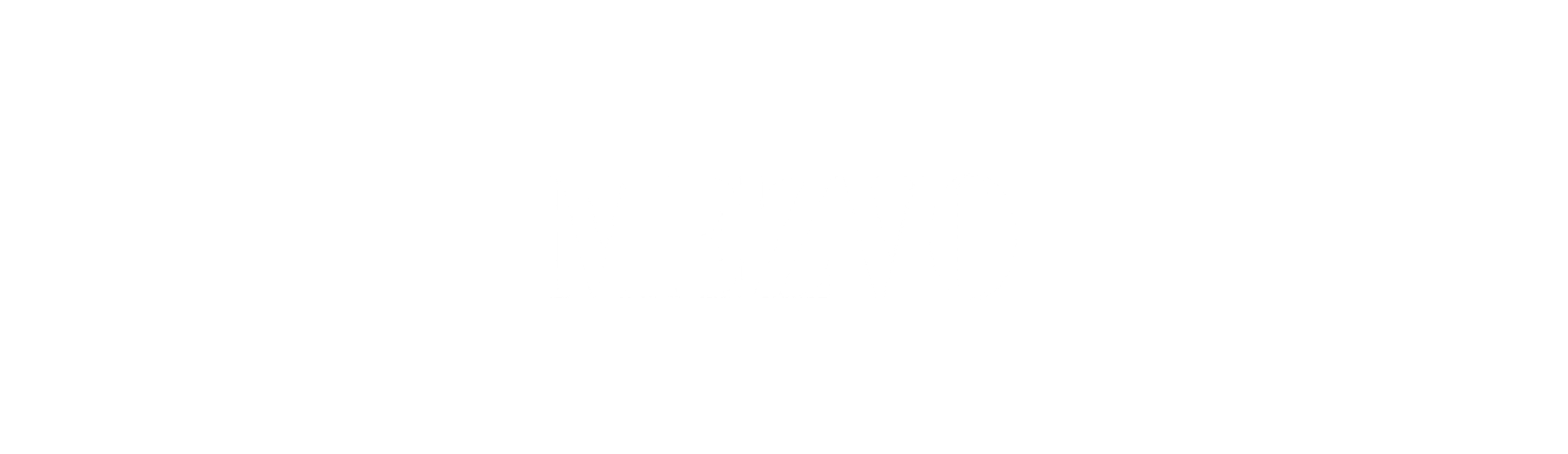 Partner Logo 11