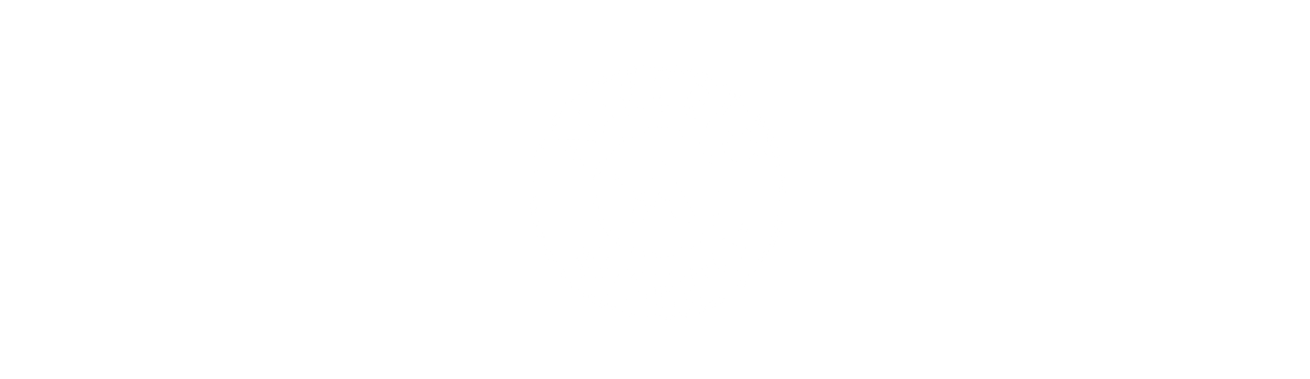 Partner Logo 39